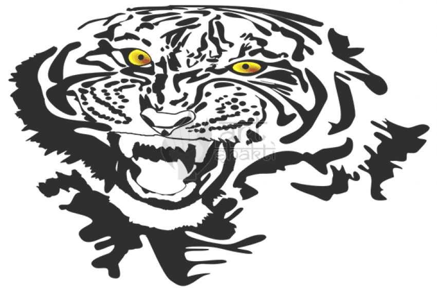 Free Png Download Siberian Tiger Png Images Background - Roar Clipart (850x564), Png Download