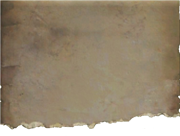 737 X 567 10 - Bronze Clipart (737x567), Png Download