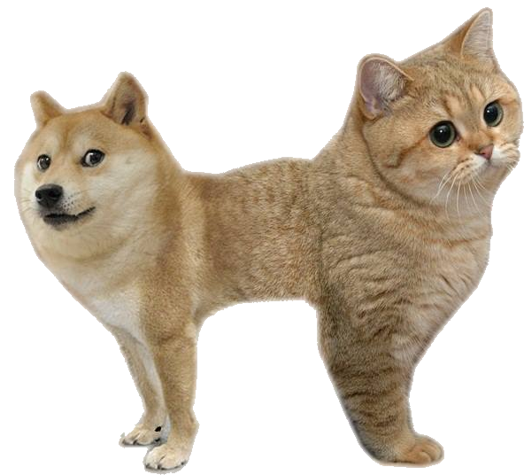 [ Img] - Cat Doge Clipart (601x539), Png Download