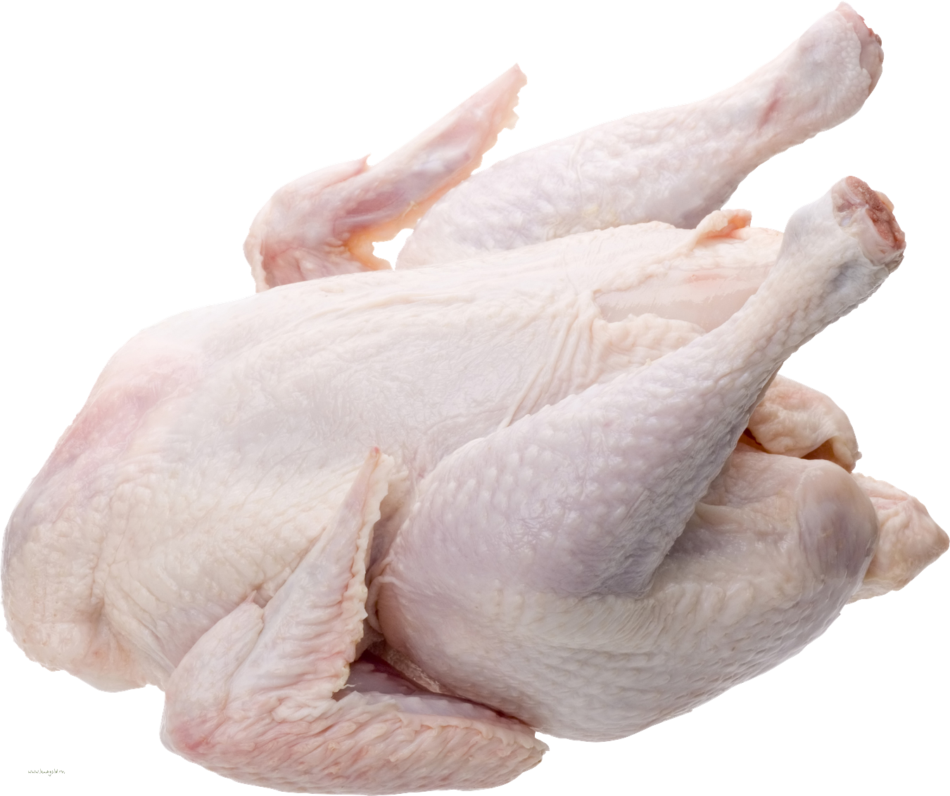 Fresh Chicken Png - Whole Chicken Png Clipart (1350x1132), Png Download