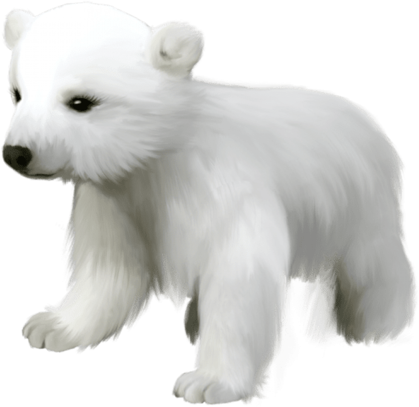 Free Png Download Cute Small Polar Bear Png Images - Cute Clipart Polar Bear Transparent Png (850x816), Png Download