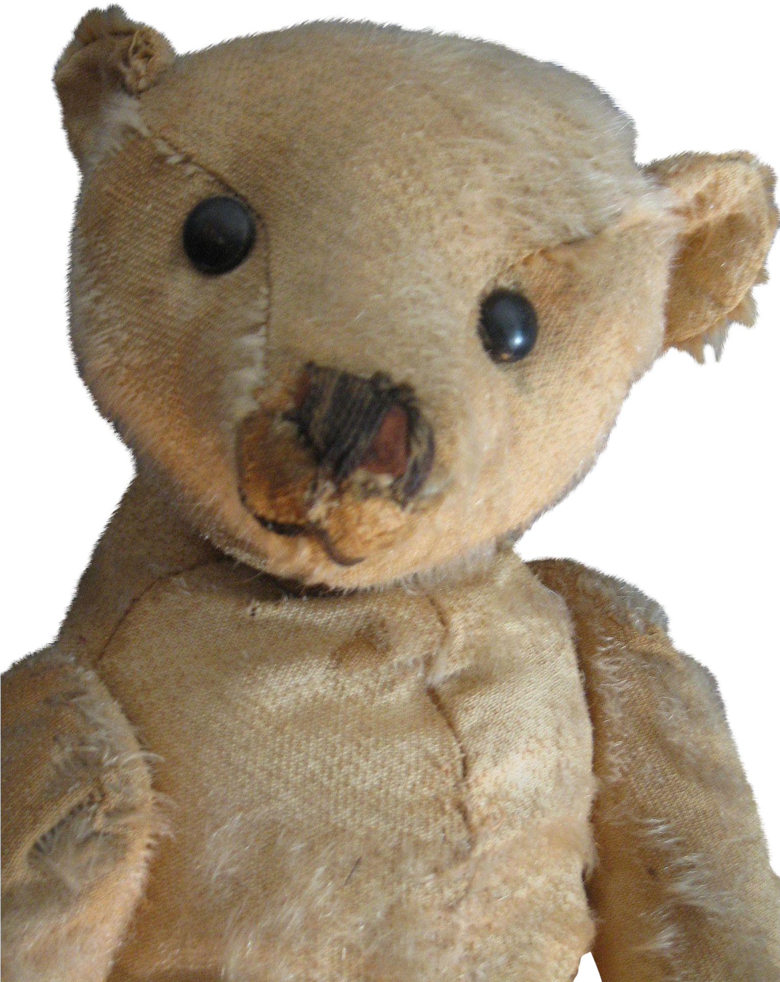 Antique 16 Beige Steiff Bear, Blank Button, Loved Clipart (1537x1933), Png Download
