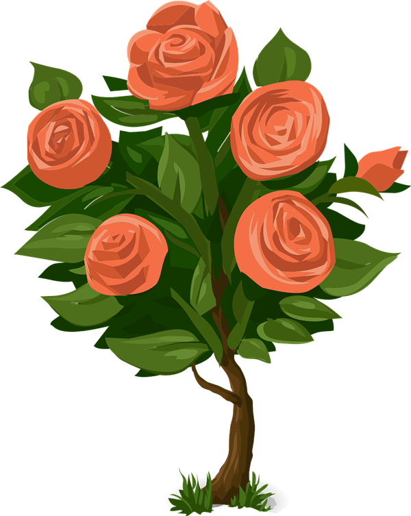 Rose Bush Png - Drawing A Rose Tree Clipart (600x753), Png Download