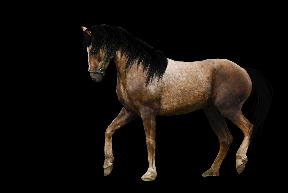 Stallion Clipart (968x648), Png Download
