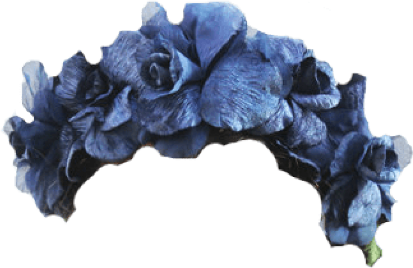 Free Png Download Blue Flower Crown Transparent Png Transparent