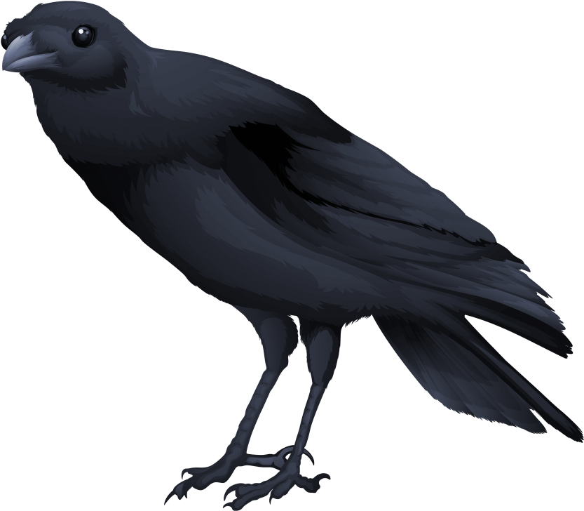 Free Png Download Birds Png Images Background Png Images - Transparent Background Raven Gif Clipart (833x728), Png Download