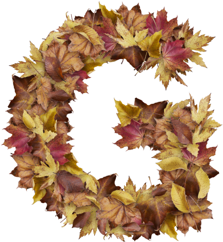 Letter G From Dry Leaves - Sweet William Clipart (866x650), Png Download