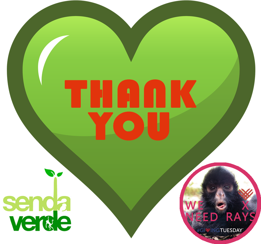 Thank You Post En - La Senda Verde Clipart (900x900), Png Download