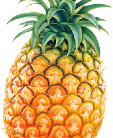 Pine Apple Png Clipart (640x480), Png Download
