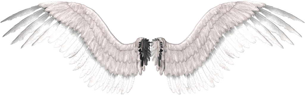 Stickers Stickerstumblrs Tumblr Efectos Wings Clipart (1025x321), Png Download