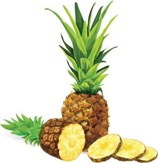Vector Library Stock Pineapple Illustration Png And - Pineapple Illustration Clipart (640x640), Png Download