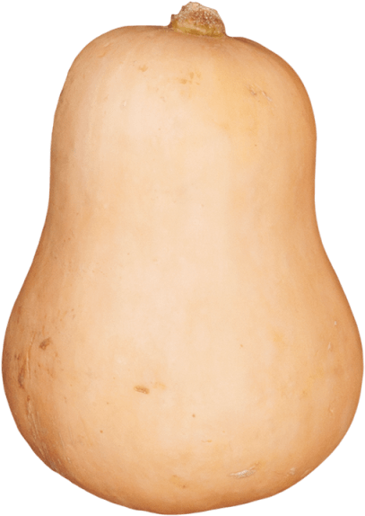 Peeled Pumpkin - Butternut Squash Png Clipart (640x640), Png Download