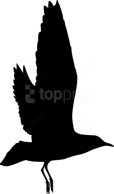Free Png Bird Silhouette Png - Birds White Silhouette Transparent Clipart (480x818), Png Download