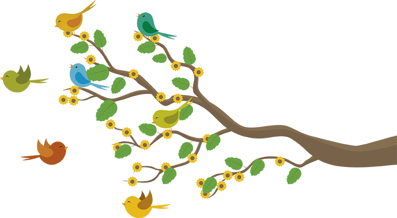 Vinilo Decorativo Pájaros En Ramas - Okhla Bird Sanctuary Timings Clipart (800x441), Png Download