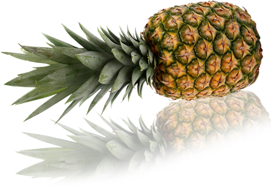 Mermelada De Piña Clipart (879x600), Png Download