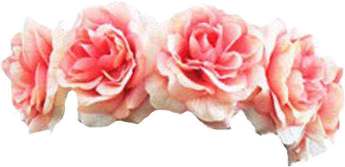 Black Flower Crown Transpa Flowers Healthy - Pink Flower Crown Transparent Clipart (700x700), Png Download