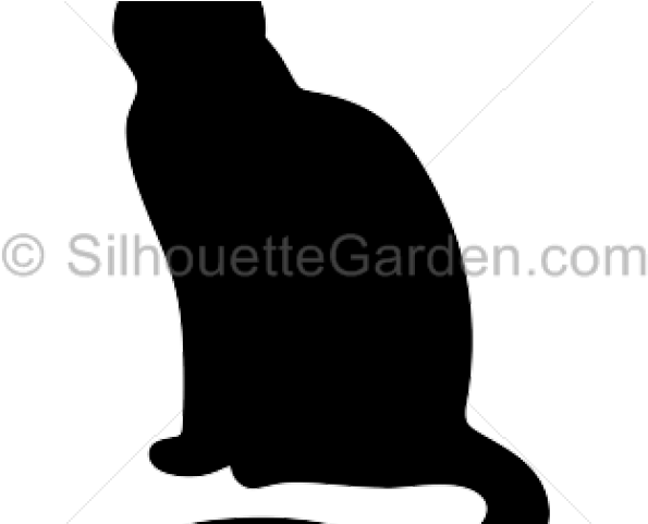 Parrot Clipart (640x480), Png Download