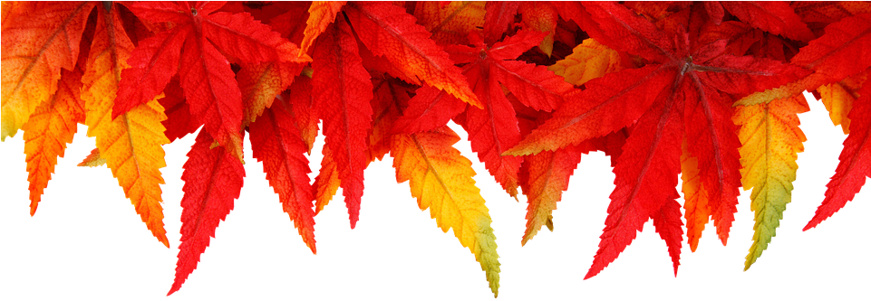 Background, Autumn, Leaves, Fall Foliage, Colorful - Religious Happy New Year Blessings Clipart (960x640), Png Download