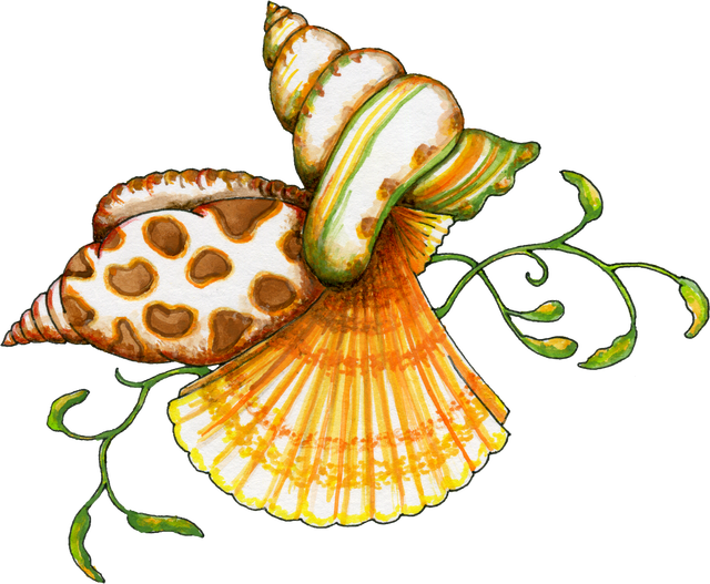 Sea Art, Paint Shop, Sea Creatures, Painted Shells, - Sea Shells Clip Art - Png Download (640x527), Png Download