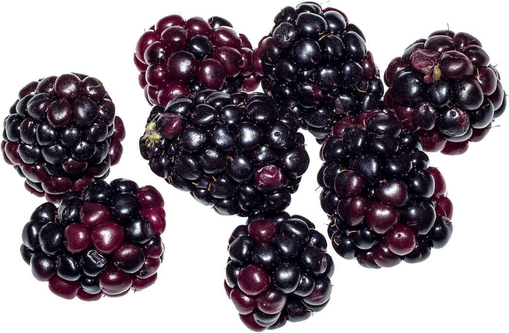 Berries Png , Png Download Clipart Large Size Png Image PikPng