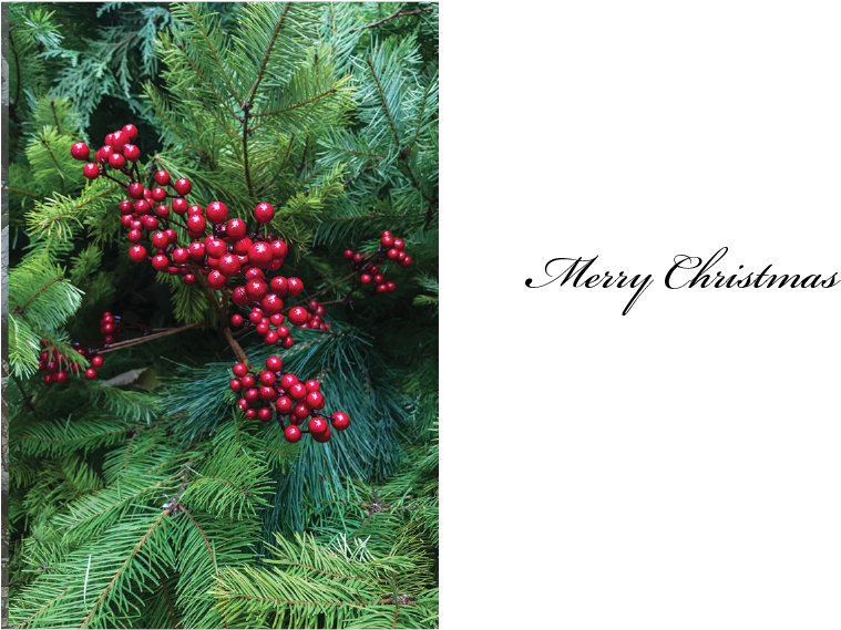 #18 Christmas Berries Clipart (759x569), Png Download