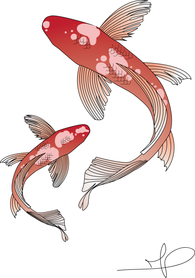749 X 1066 10 - Koi Fish Transparent Background Clipart - Large Size