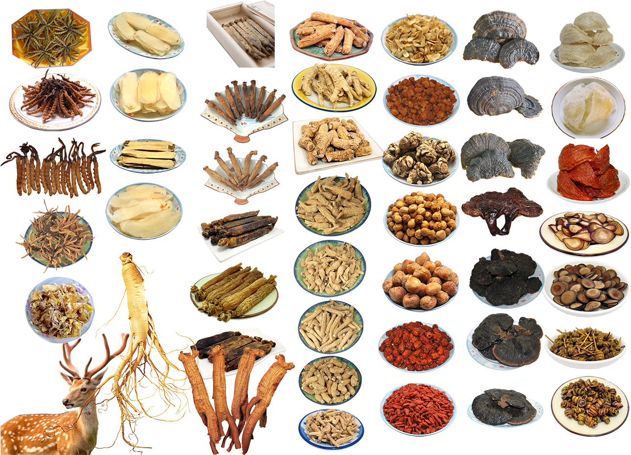 Chinese Food Ingredients - Chinese Herbology Clipart (1304x931), Png Download