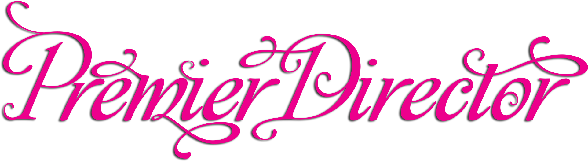 Paparazzi Accessories Premier Director , Png Download - Paparazzi Accessories Premier Director Clipart (1925x530), Png Download