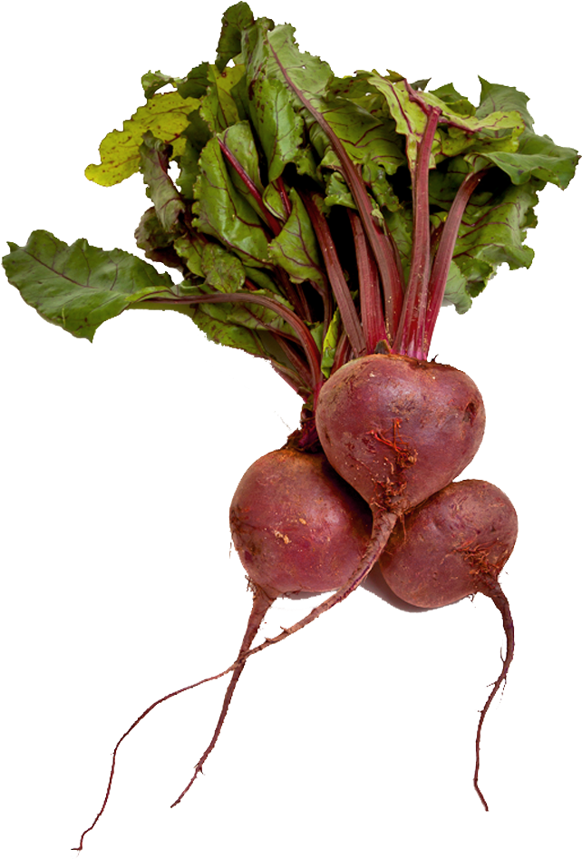 Beet - Sugar Beet No Background Clipart (960x956), Png Download