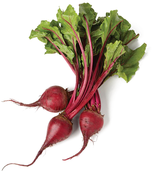 Beet Png Image Transparent Background Clipart (531x593), Png Download