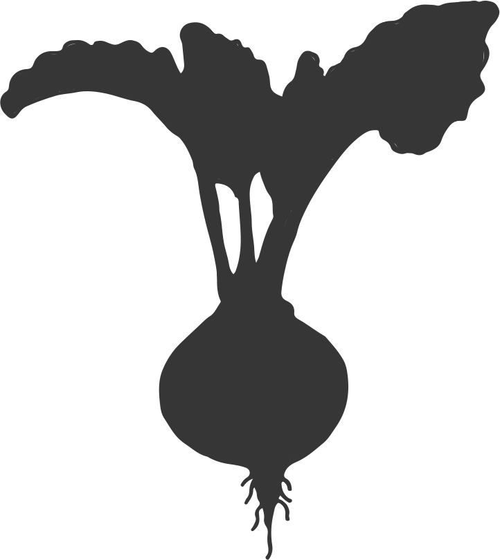 Beetroot Clip Art & Beetroot Png Image - Sugar Beet Silhouette Transparent Png (722x810), Png Download