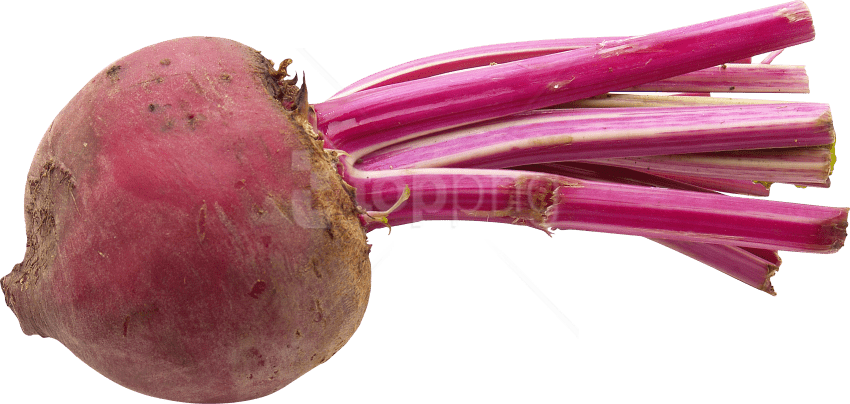 Free Png Images - Beetroot Juice Clipart (850x404), Png Download