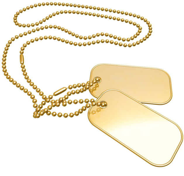 Gold Dog Tags - My Name Pix Friends Clipart (643x600), Png Download