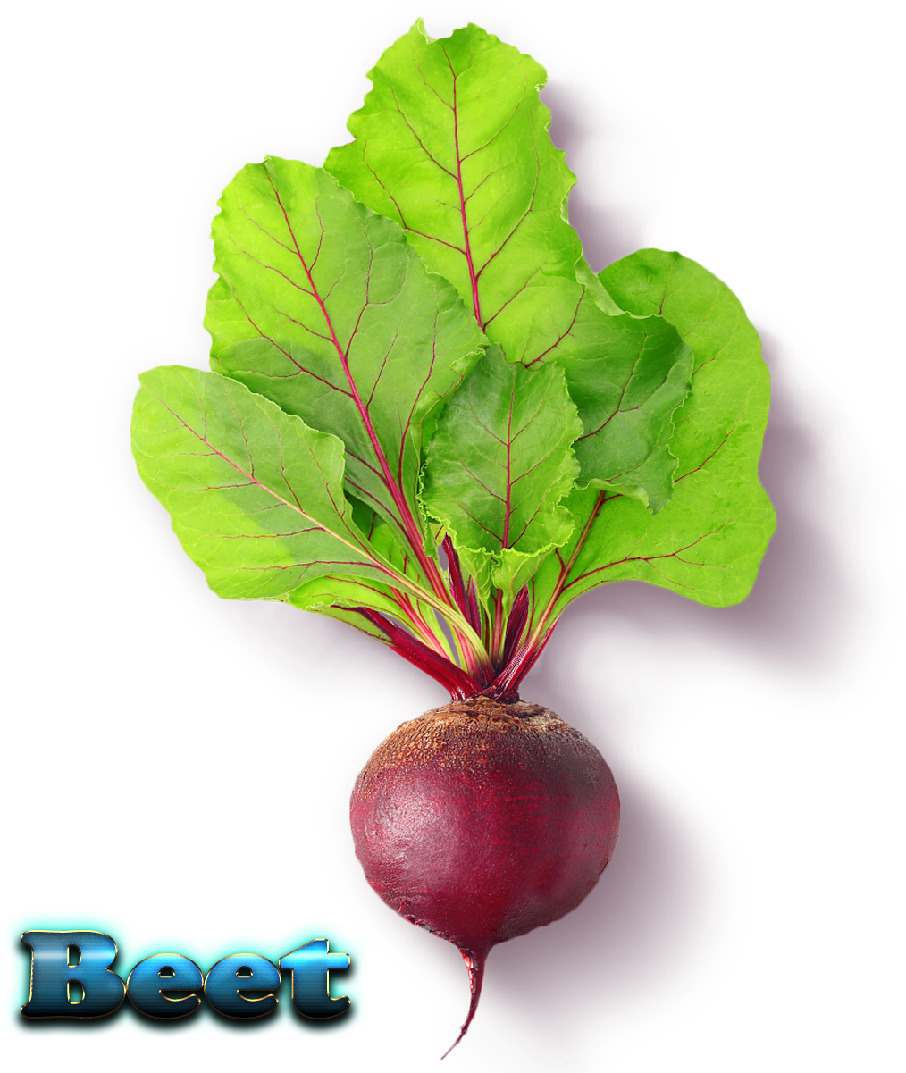 Beet Free Download Png - Beet Greens Clipart (1308x1200), Png Download