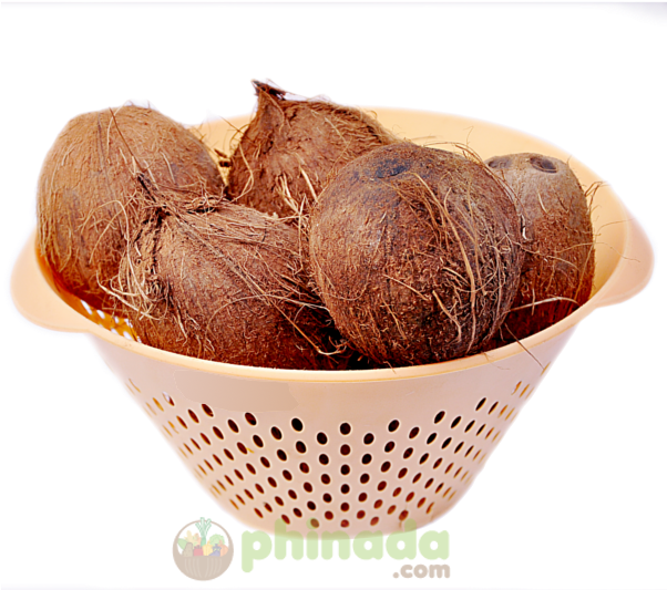 Beet , Png Download Clipart (602x533), Png Download