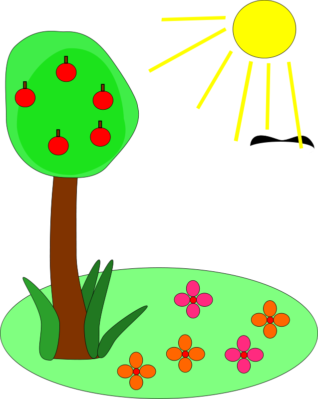 Plant And Sun Png - Summer Clip Art Transparent Png (637x800), Png Download