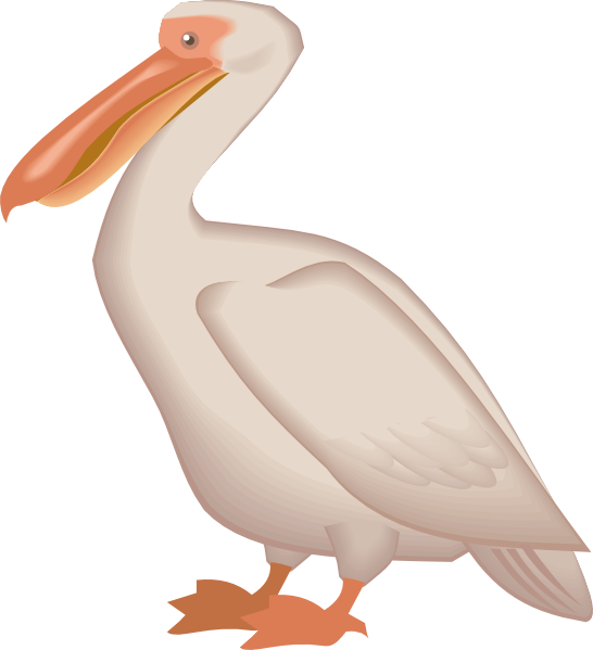 Pelican Png - Aves Del Mar Png Clipart (546x599), Png Download