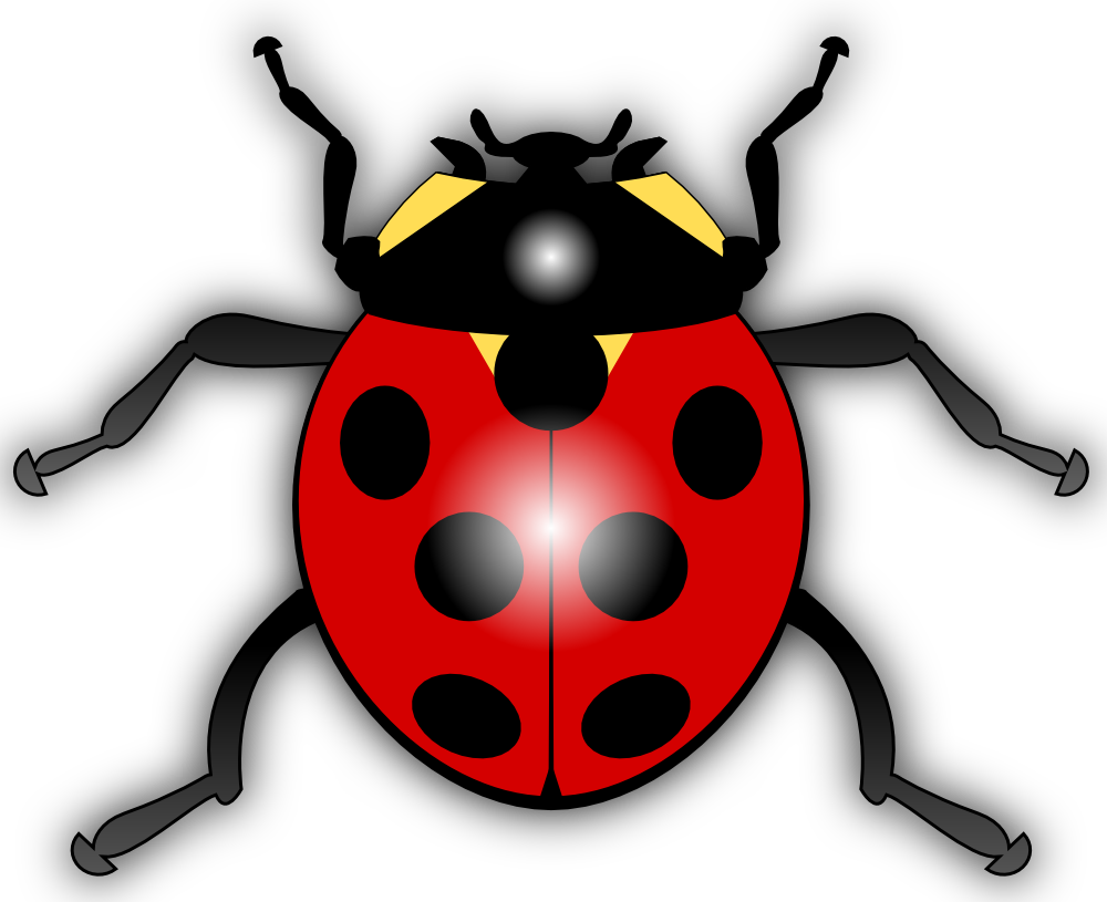 Cartoon Ladybug Clip Art Png - Ladybird Clipart Transparent Png (1000x815), Png Download