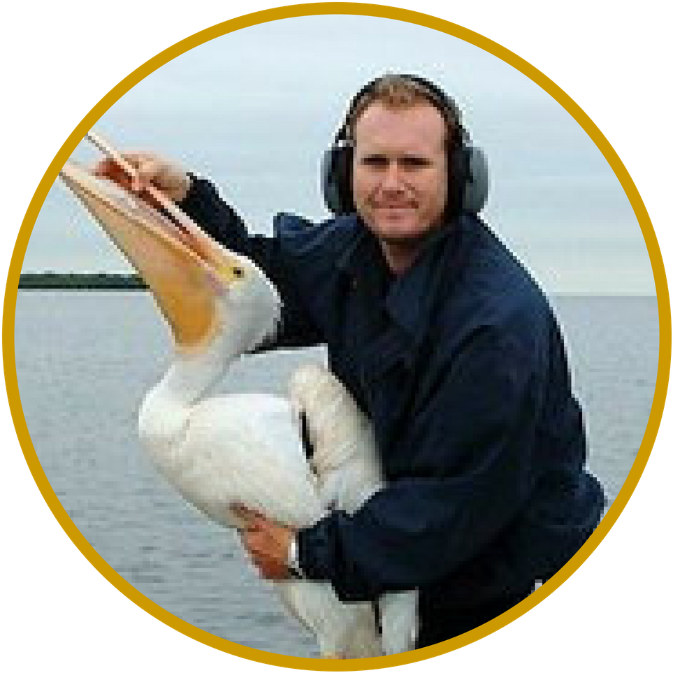 Christopher Boykin - Pelican Clipart (1080x1080), Png Download