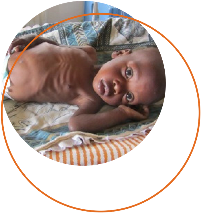 Leon - Haribo Clipart (800x800), Png Download