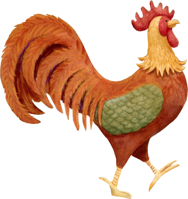 Hen Clipart Poule - Png Download (600x636), Png Download