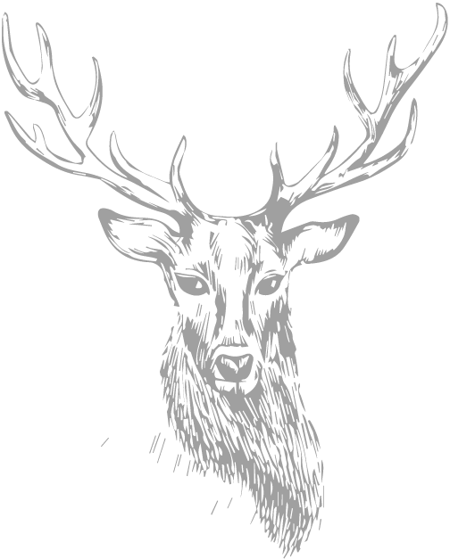 Stag Clipart (504x627), Png Download