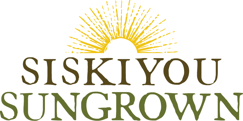 Sslogo Halfsun Newcolor Format=1500w Clipart (817x406), Png Download