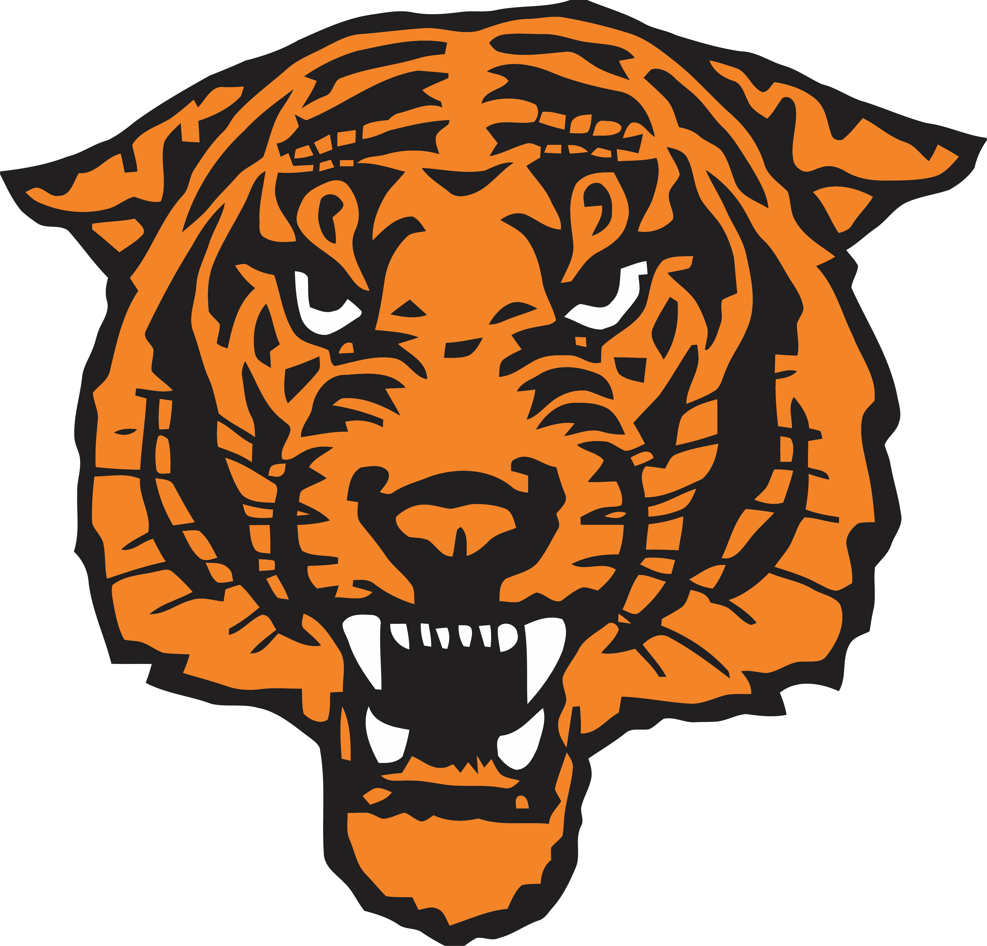 Wild Face Tiger Clipart Png Image Www - New Bloomfield Wildcats Transparent Png (3760x3605), Png Download