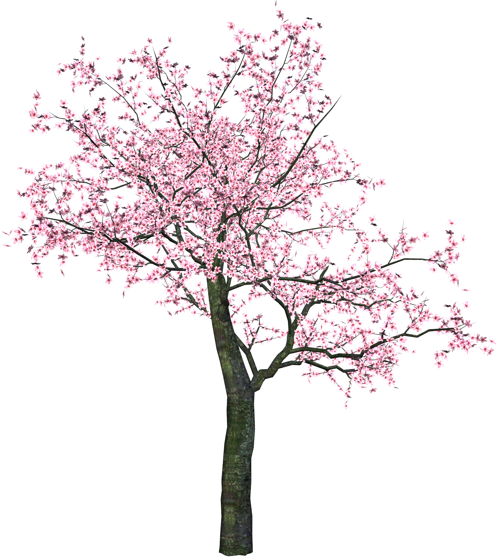 Spring Tree Clip Art - Png Download (1741x1948), Png Download