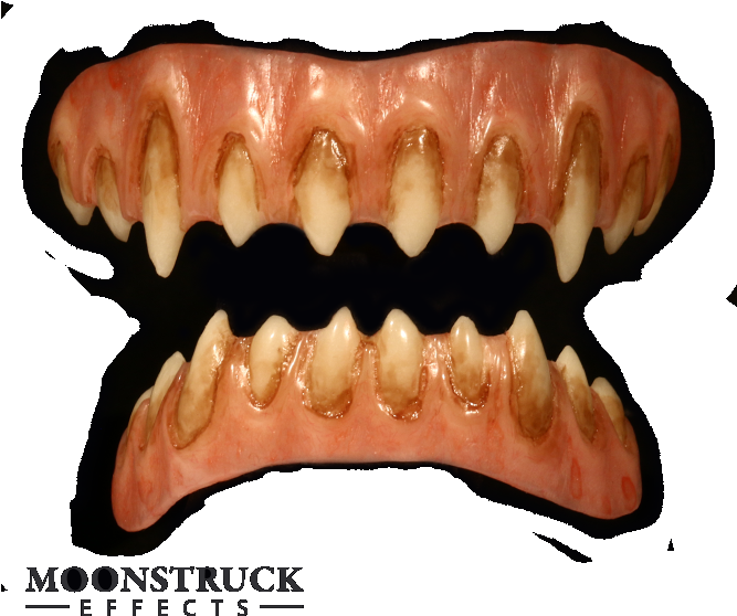 Bone Clipart (666x666), Png Download