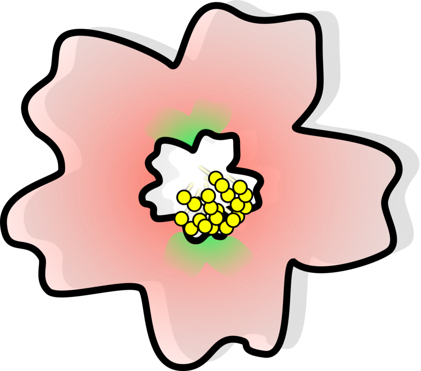 Japan Cherry Blossom Flower Drawing - Sakura Clipart (851x750), Png Download