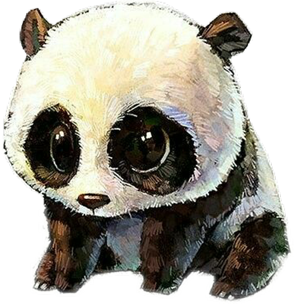Panda Panda Pandinha Tumblr Fofo Lindo Kawaii Clipart (1024x1056), Png Download