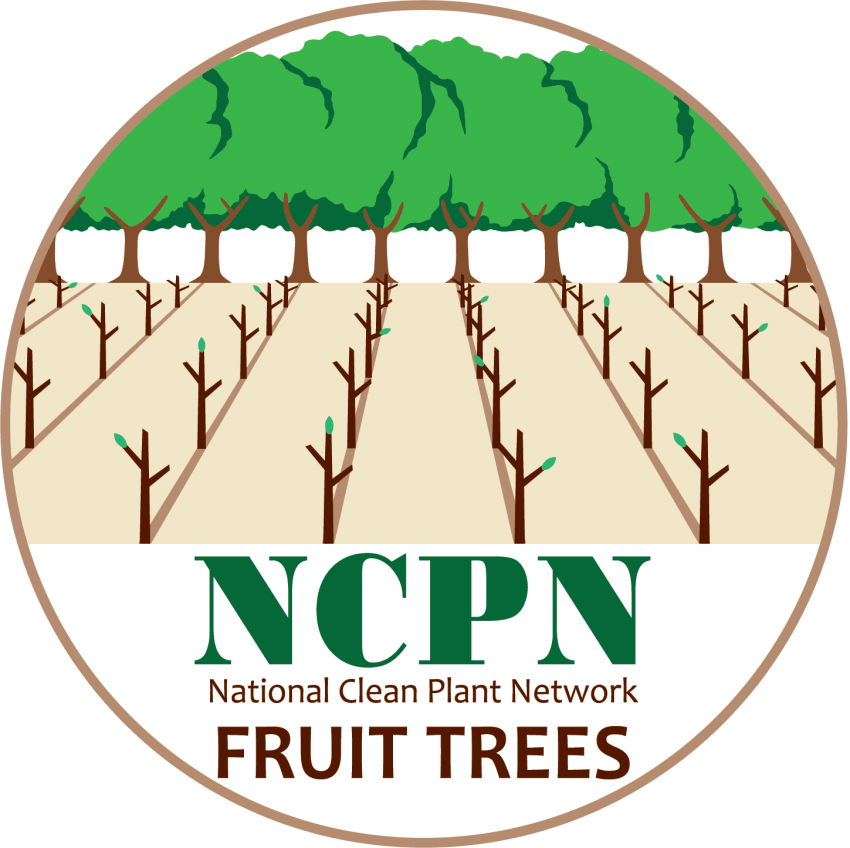 Free Png Download Fruit Tree Png Images Background - Ncpn Fruit Trees Clipart (850x848), Png Download