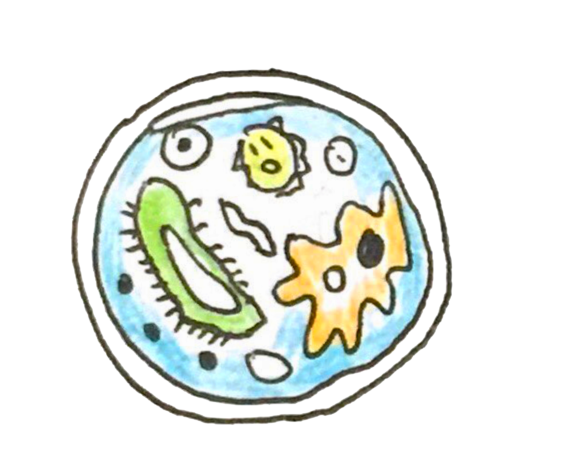 Collaboration - Circle Clipart (2448x1836), Png Download